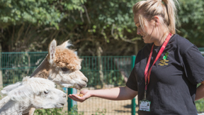 Image for news article: Animal Studies