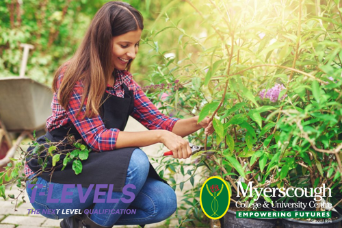 A person in an apron cutting a plant

AI-generated content may be incorrect.