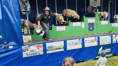 Image for news article: Thousands enjoy Myerscough’s Open Day & Country Fair