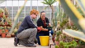 Image for news article: Horticulture and Landscaping
