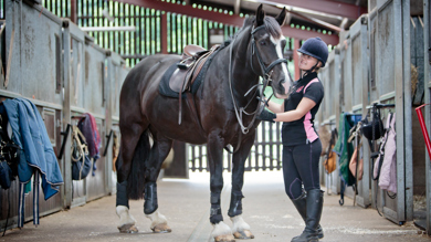 Image for news article: Equine Studies Information Evening (for 2025 starters)