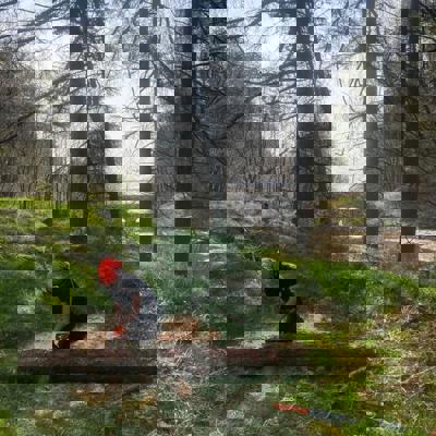 New Arb Pic For Short Courses
