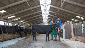 Image for news article: Agriculture