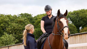 Image for news article: Equine Studies