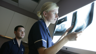 Image for news article: New veterinary qualifications set to be offered from September