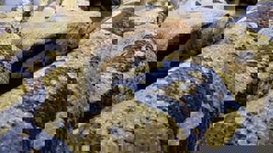 Image for news article: Course Advice Morning - Liverpool Centre FEB