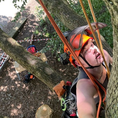 TREE CLIMB NEWS IMAGE (1)