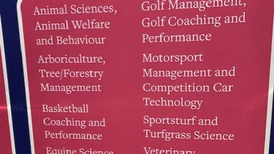 Image for news article: UCAS Hull